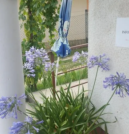 Zsoli Vendégház Pensión